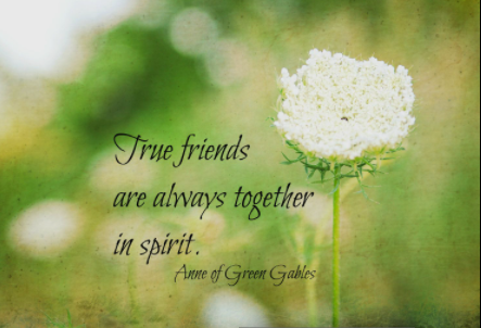 Anne Of Green Gables Quotes Friendship
